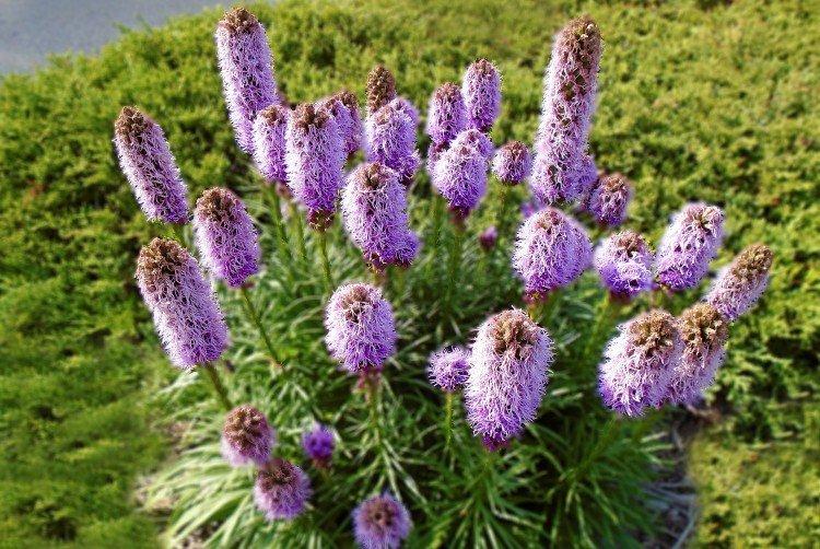 Температура и освещение