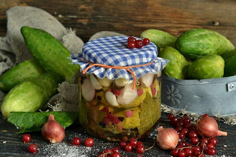 Огурцы, маринованные с красной смородиной