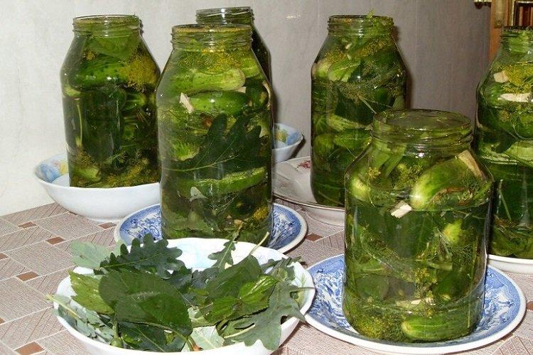 Огурцы, маринованные с ароматными листьями