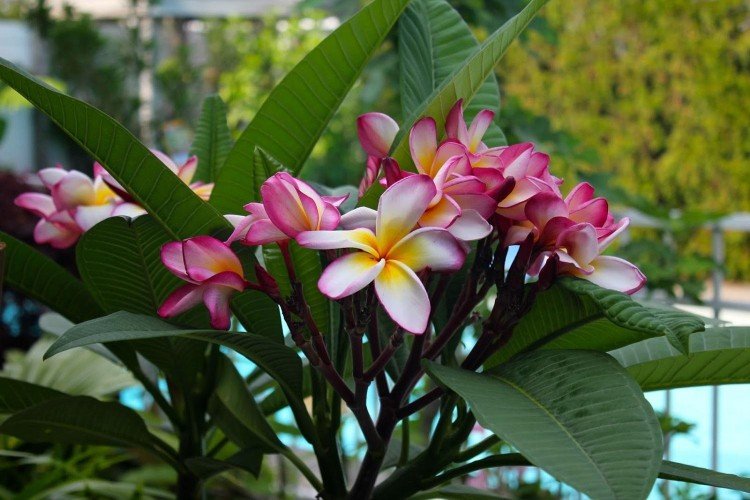 Температура и освещение