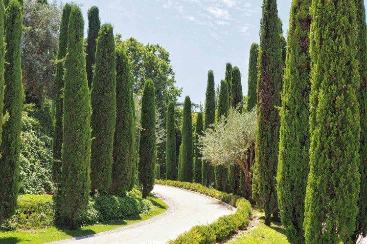 Температура и освещение