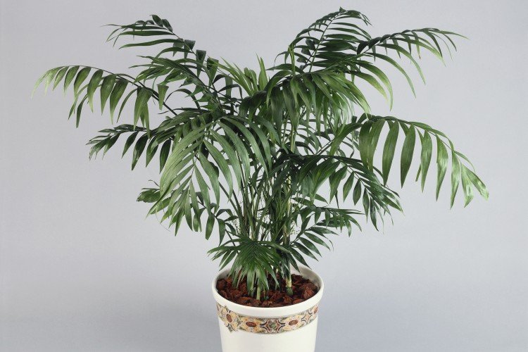 Влажность и опрыскивания