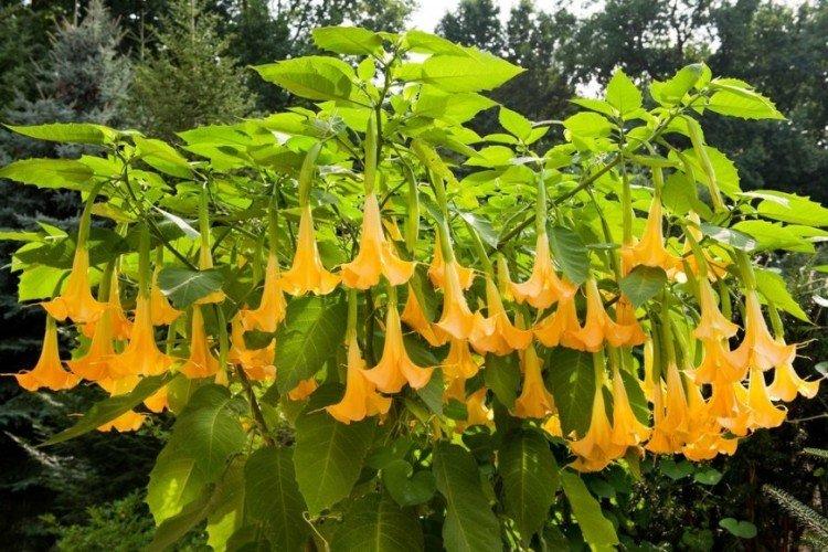 Температура и освещение