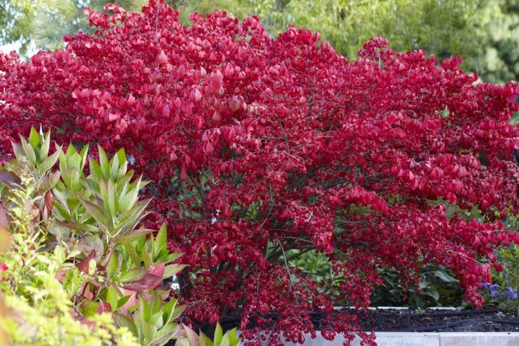 Температура