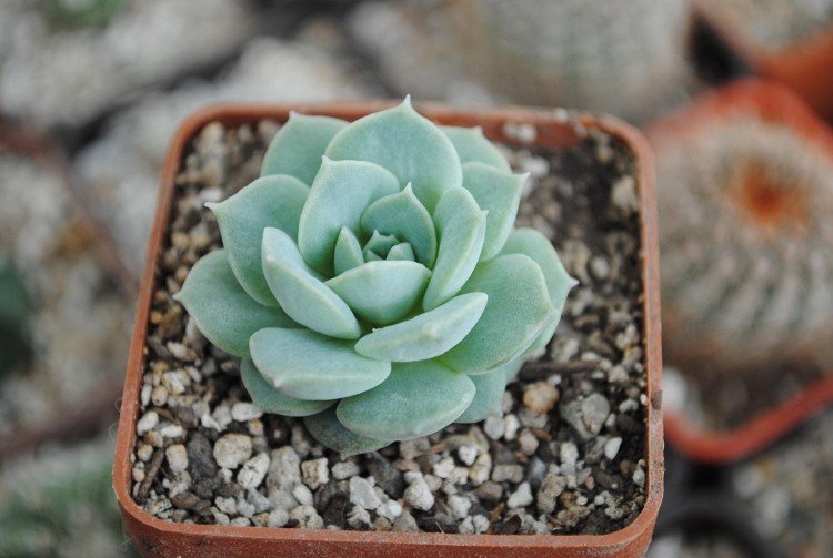 Общая информация