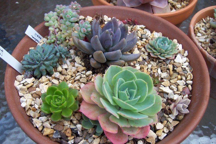 Температура