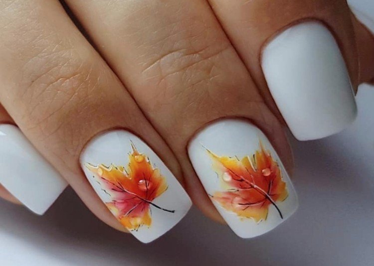 Осенние листья и растительные мотивы