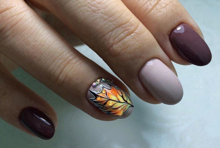 Осенние листья и растительные мотивы