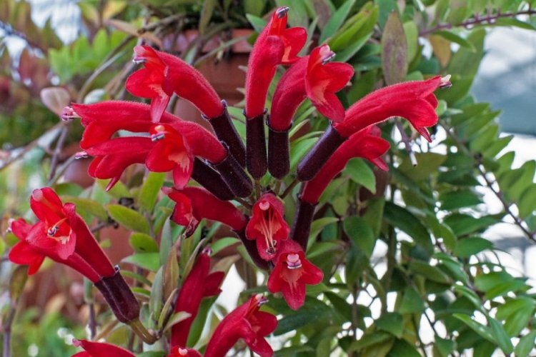 Общая информация