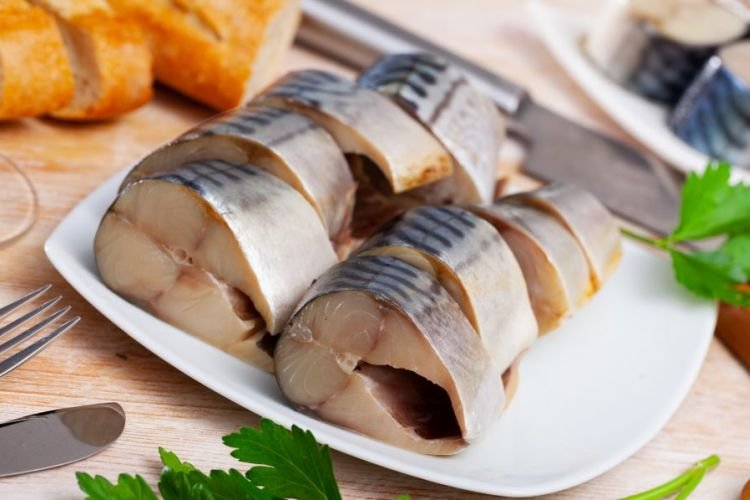 Малосольная скумбрия