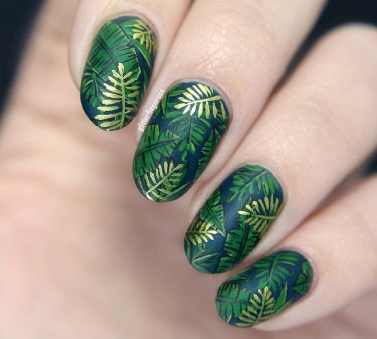 Тропические джунгли