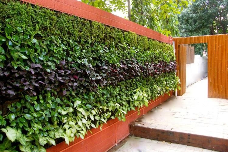 Вертикальный сад