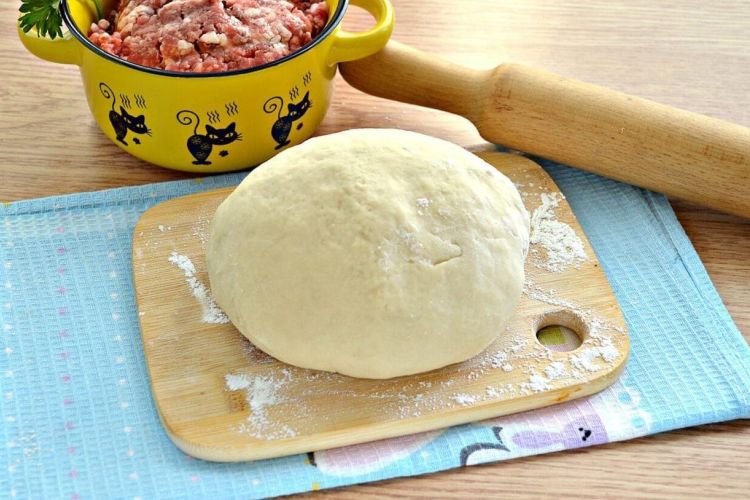 Тесто для чебуреков с пузырьками