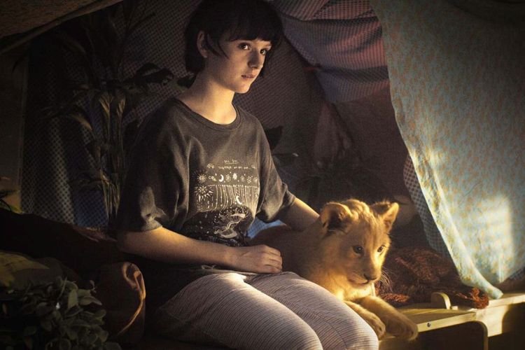 Король-львенок