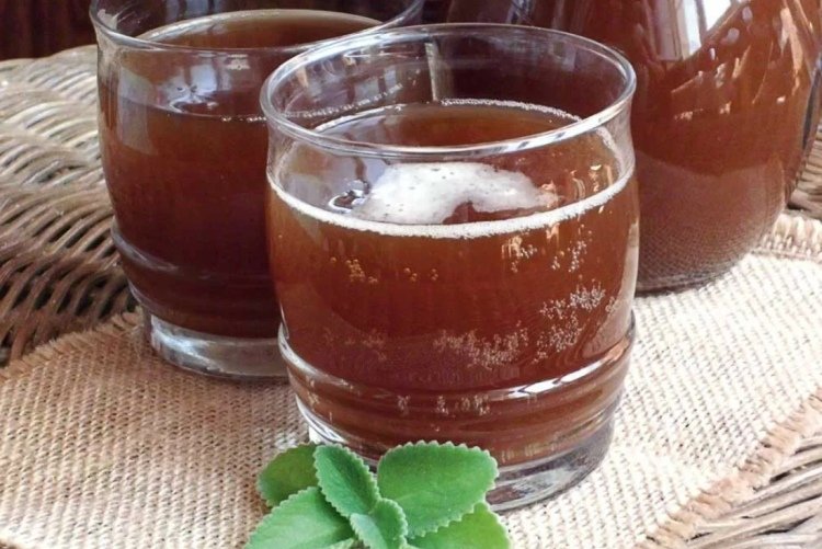 Квас из цикория с мятой