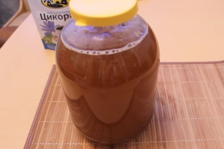 Квас из цикория и кофе