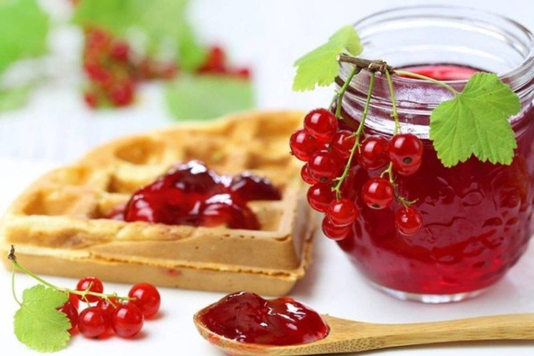 Желе из красной смородины без варки