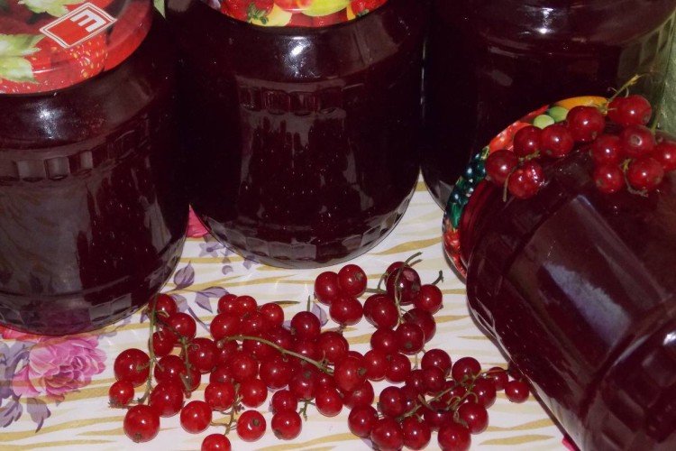 Желе из красной смородины с веточками