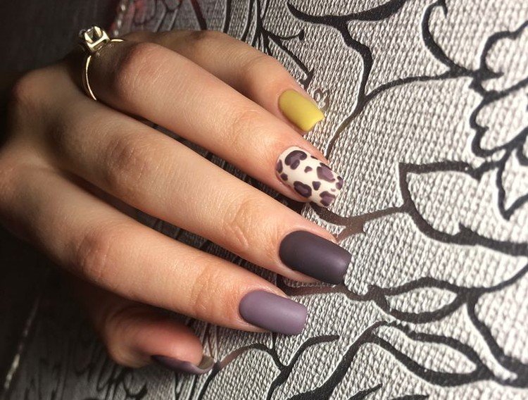 Осенние животные принты