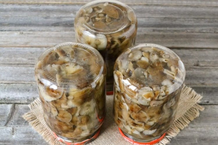 Жареные опята на зиму