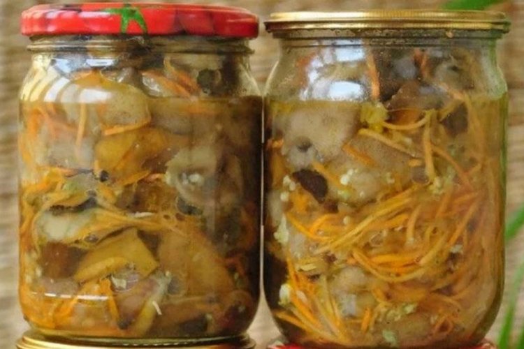 Грибной суп с опятами на зиму