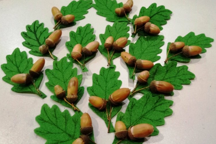 Поделки из желудей – фото и идеи