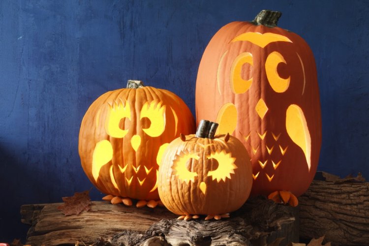 Поделки из тыквы – фото и идеи