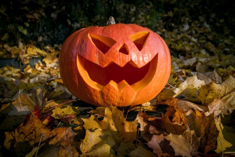 Поделки из тыквы – фото и идеи