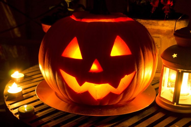 Поделки из тыквы – фото и идеи