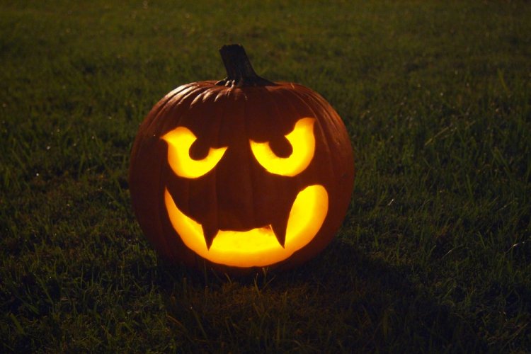 Поделки из тыквы – фото и идеи