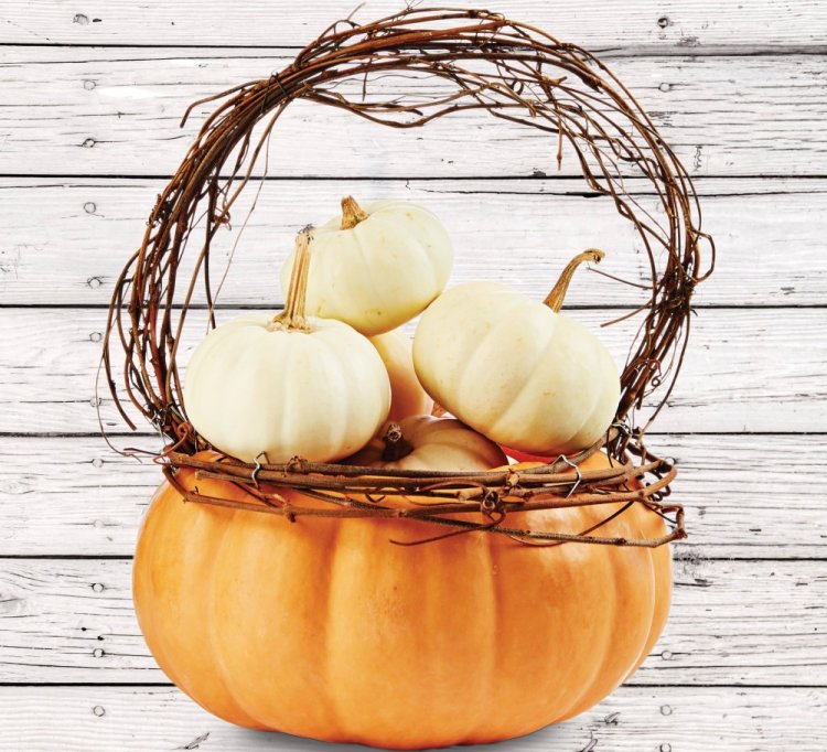 Корзина из тыквы