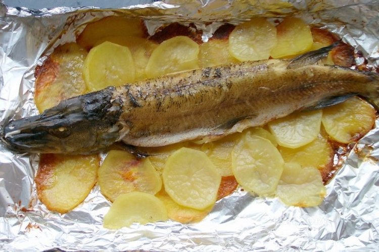 Щука с картошкой в духовке