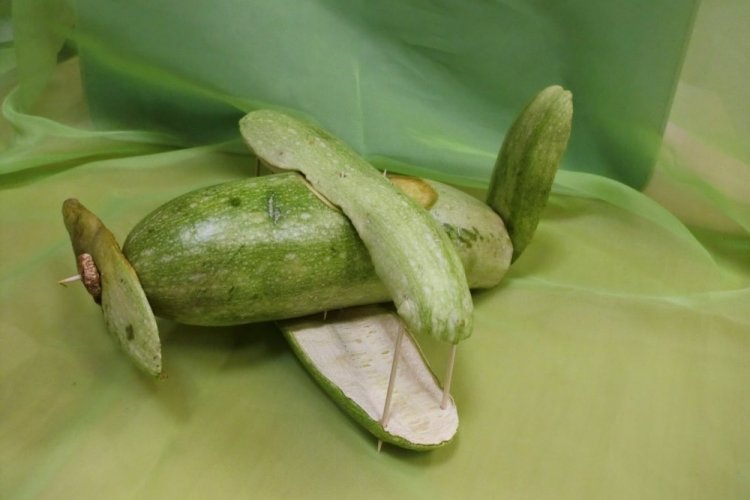 Самолет из кабачков