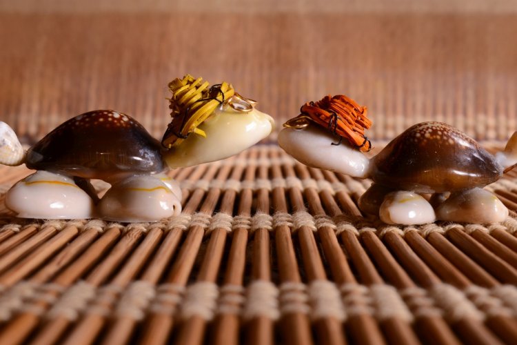 Поделки из ракушек своими руками: 10 простых и красивых идей