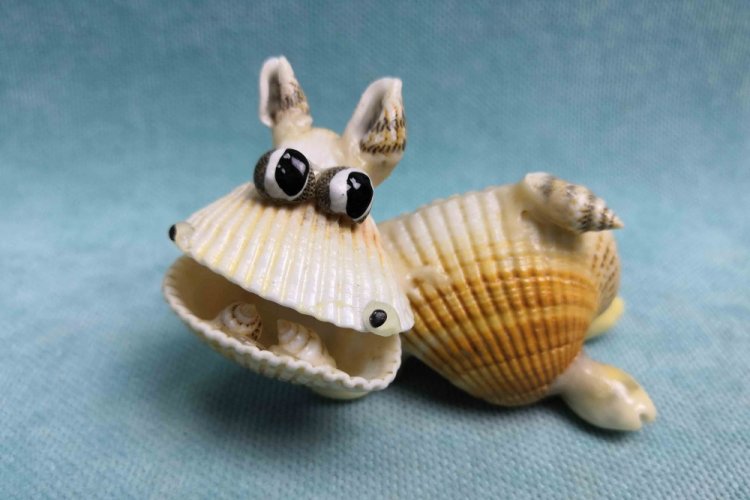 Животные из ракушек