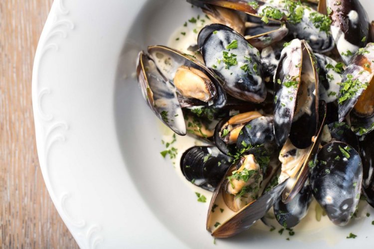 Мидии в створках в сливочном соусе