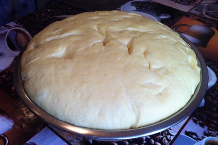 Тесто для пирогов на кислом молоке