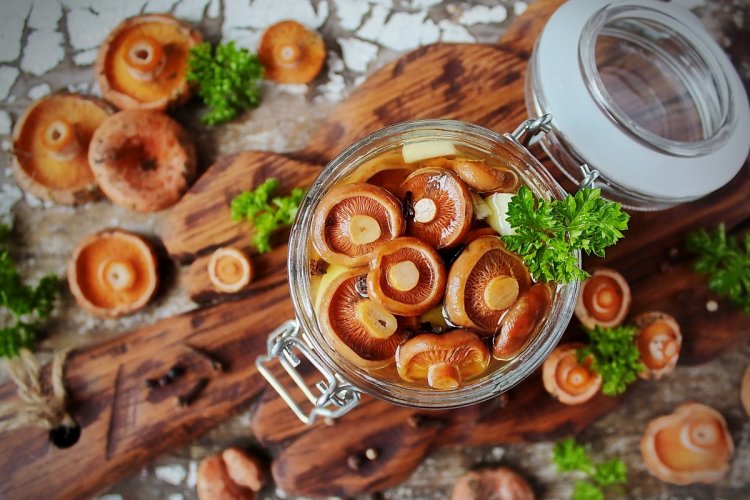 Как засолить рыжики на зиму: 8 рецептов в домашних условиях
