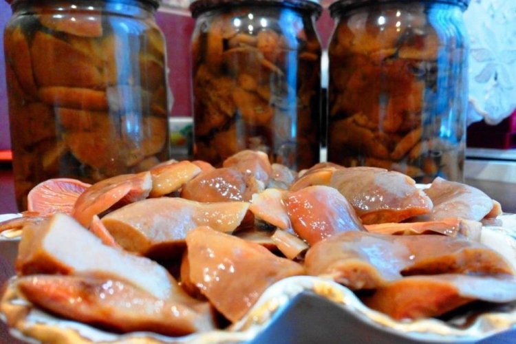 Засолка рыжиков холодным способом