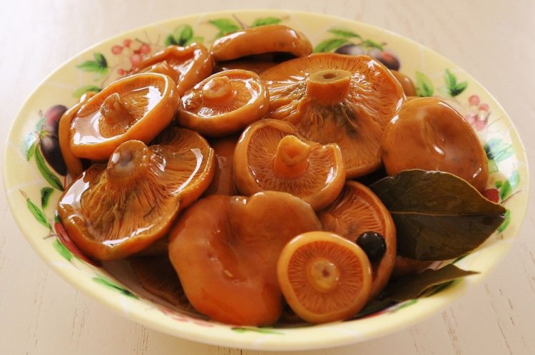 Рыжики с солью