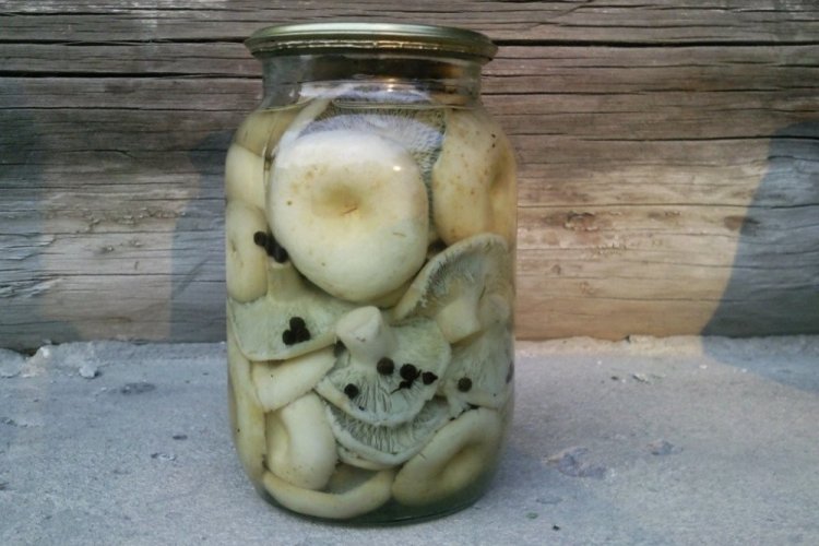 Соленые грузди с уксусом