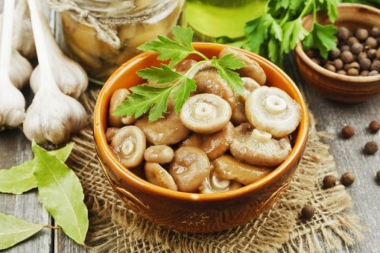 Соленые грузди с хреном