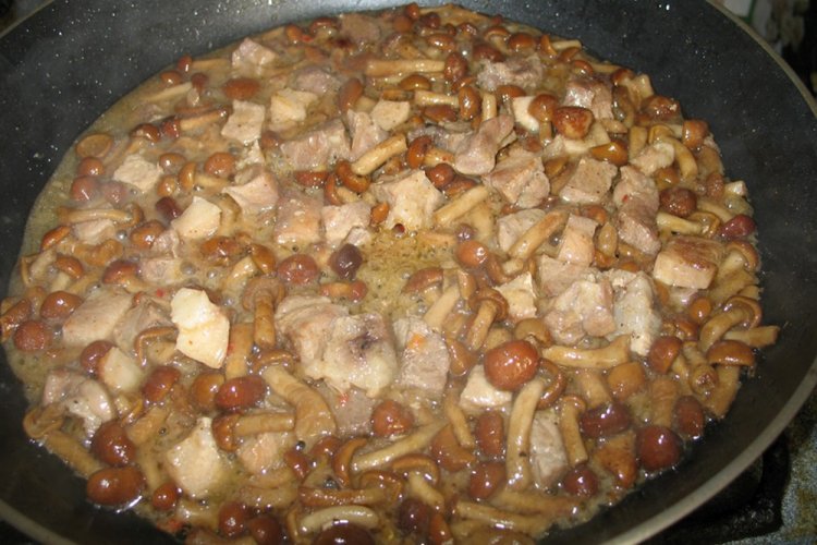 Жареные опята с мясом