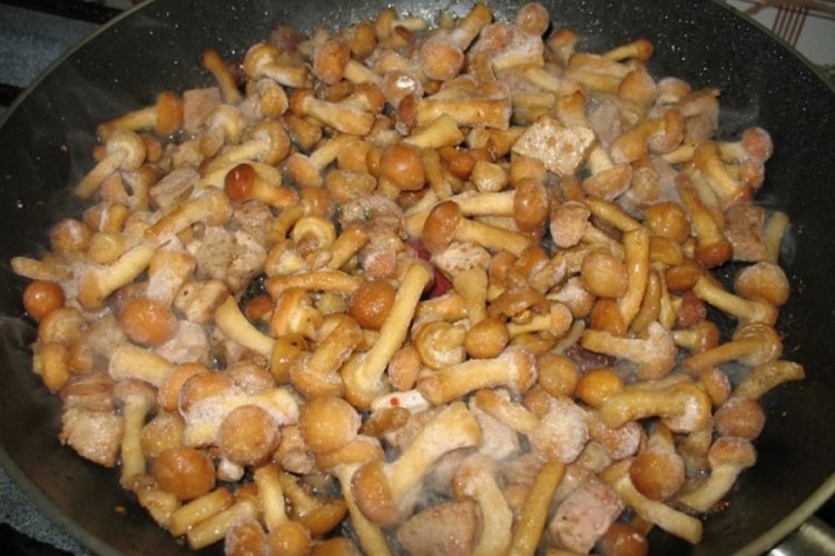 Жареные опята с курицей