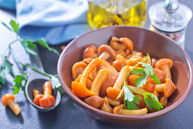 Как замариновать опята: 12 простых рецептов в домашних условиях