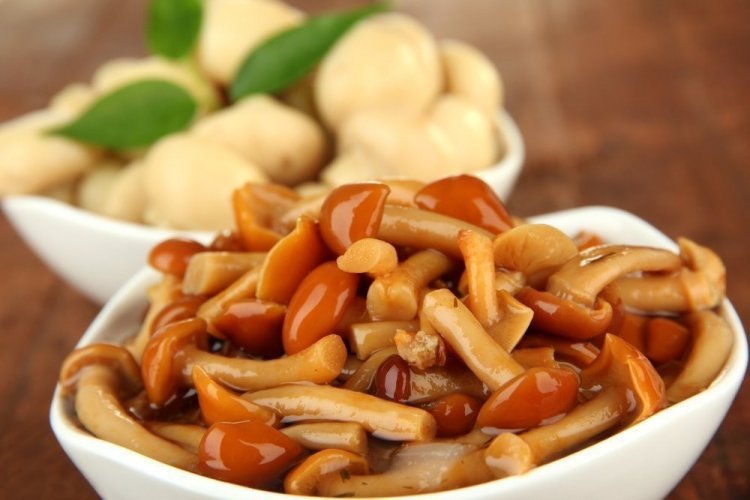 Маринованные опята с уксусом и чесноком