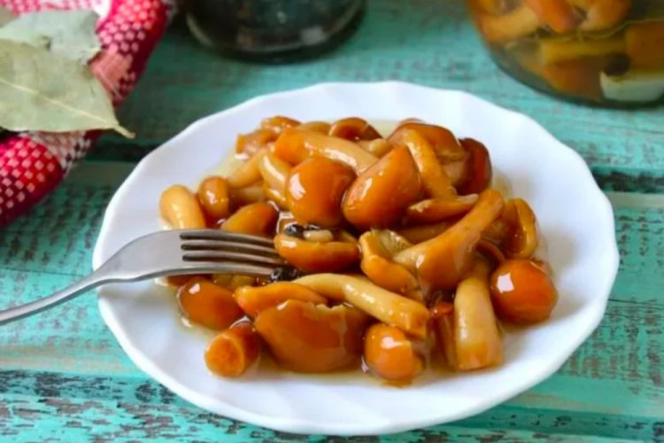 Маринованные опята с яблочным уксусом
