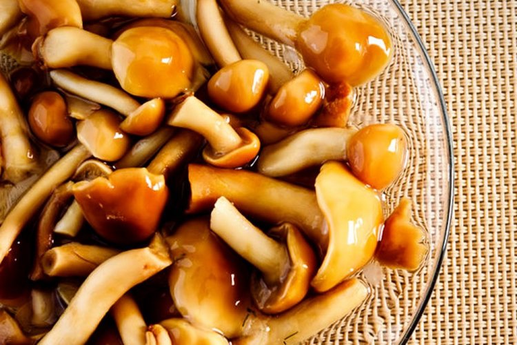 Маринованные опята с уксусной кислотой