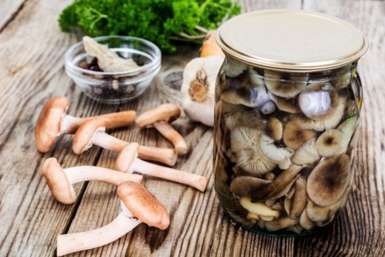 Маринованные опята с лимонной цедрой