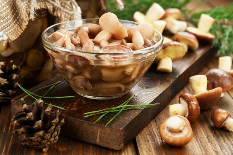 Как замариновать маслята: 12 пошаговых рецептов в домашних условиях